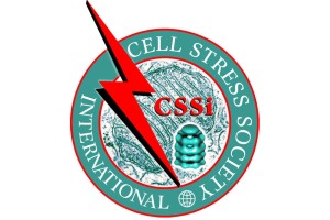CSSi blog size
